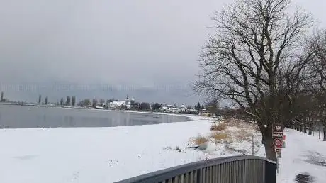 Pärkli