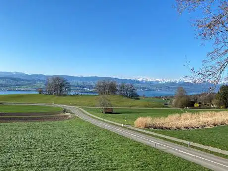 Aussichtspunkt Herrenweg
