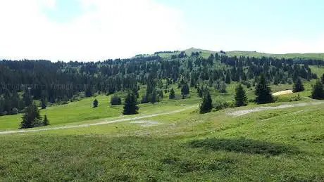 Photo de Réserve naturelle régionale de la tourbière des Saisies - Beaufortain - Val d'Arly