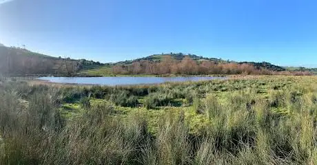 Photo de Embalse de San Andrés de los Tacones
