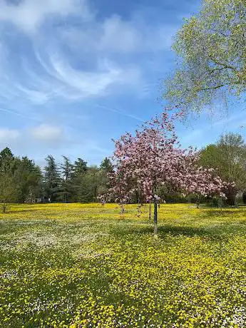 Photo de Parco di Villa Maccaferri