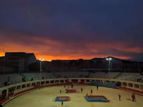 Photo de Arènes d'Alès