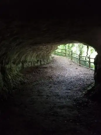 Coale del Mondo