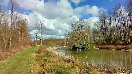 Photo de Vijvergebied Geneberg