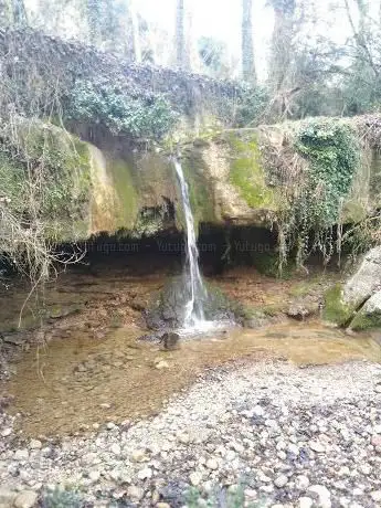 Photo de La Font del MolÃÂ