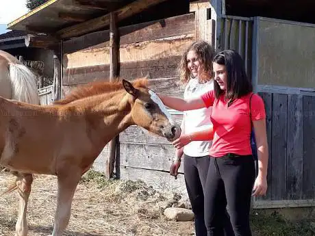 Photo de Scuola di equitazione Le Amazzoni