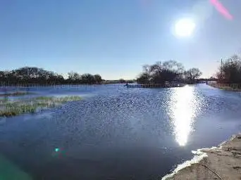 Photo de Lac de Grand Lieu - Passay port d'hiver