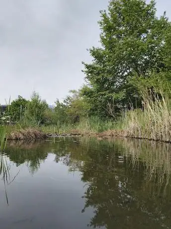 Photo de Parc Flaubert