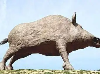 Woinic