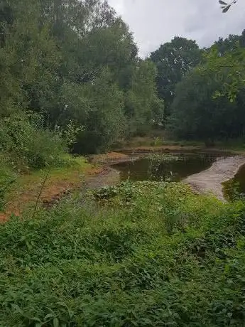 Photo de Snaky Lane Local Nature Reserve