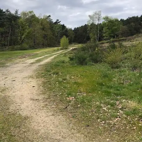 Melberg