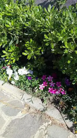 Riserva Naturale Degli Uccelli