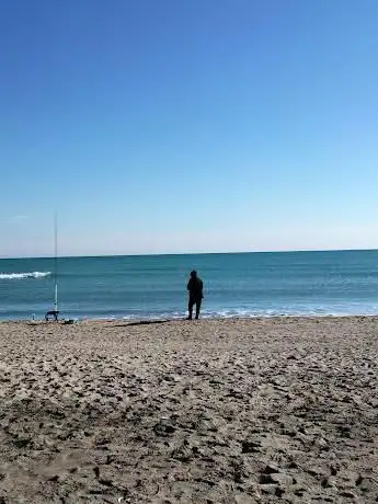 Photo de Spiaggia Libera Castel Porziano - Cancello 6