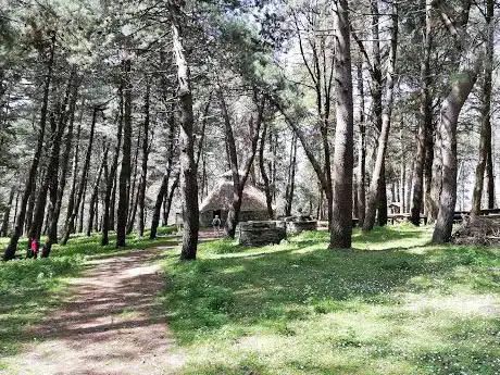 Photo de Piano Milioso