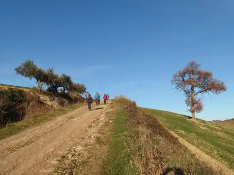 Monte Della Birra