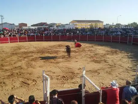 Photo de Polideportivo Municipal