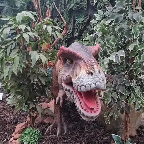 Photo de Dinosaur Land