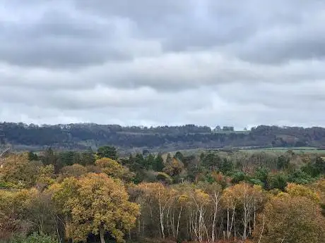 Photo de Reigate Heath