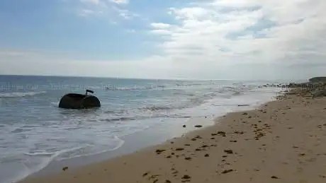 Photo de Enebro de Punta Paloma III