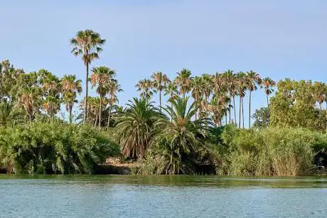 Photo de Parc Natural del Delta de l'Ebre
