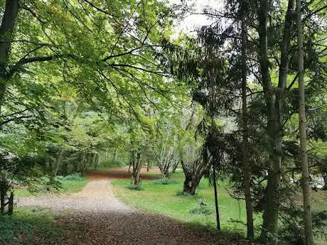 Photo de Sentier du Héron