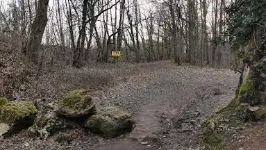 Forêt départementale du rocher de Saulx