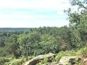 Point de Vue du Camp de Chailly