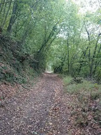 Strada per Moriondo (PoMonf)