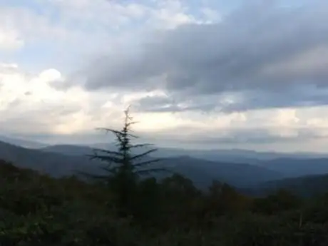 Panoramica