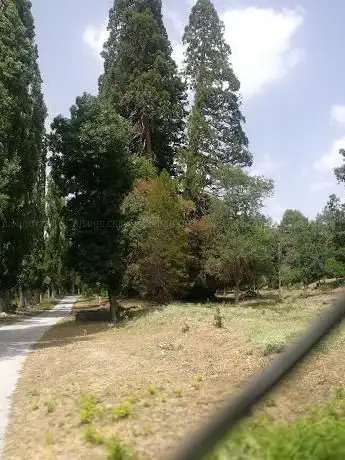 Photo de Entrada Finca