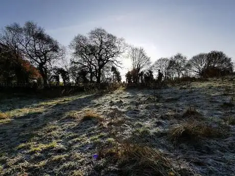 Harmers Wood