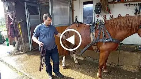 Photo de Tourisme Equestre