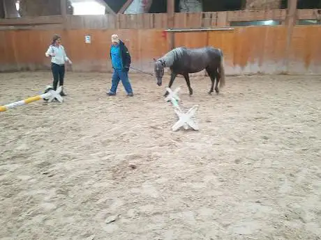 Photo de Centre Equestre du Plan