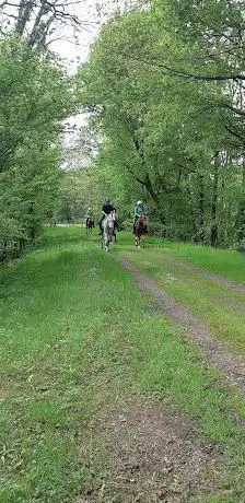 Photo de Aire d'accueil de la voie verte de Chalosse (Montfrt-en-Chalosse)