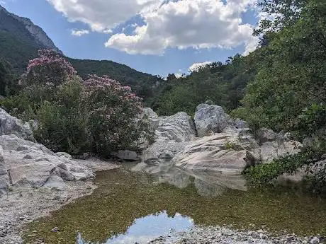 Photo de Natural pools