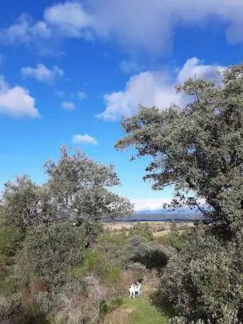 Photo de Monte Dehesa Majadahonda