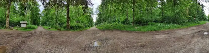 Les 4 chemins