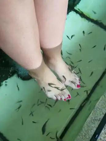 Photo de Aquarius Dr.Fish - Spa