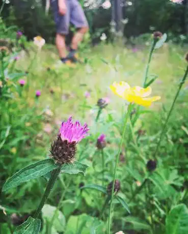 Outdoor Adventure Connection