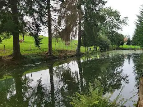 Sägenweiher