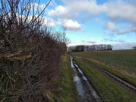 Fotherby Common