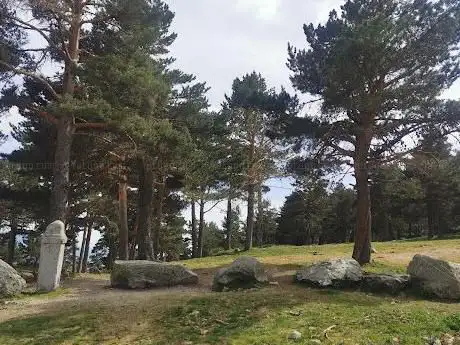 Photo de Pinar de ValsaÃÂn