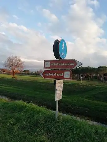 Sentiero dei Principes Etruschi
