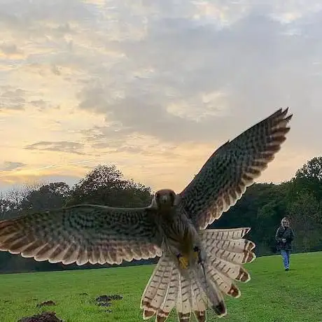 Photo de Wild About Britain