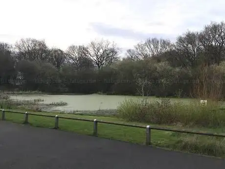 Photo de Hall Wood Pond