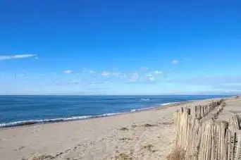 Photo de Plage du Sardinal