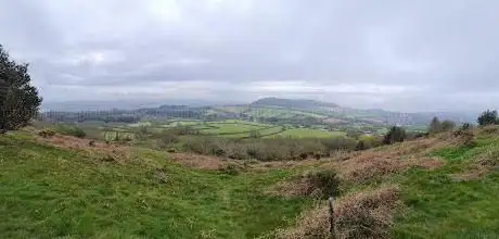 Core Hill Wood