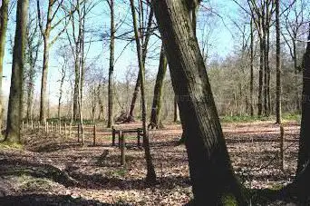 Lozerbos