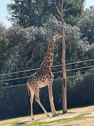 Photo de Zoo Montpellier