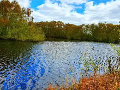 Photo de Burnhams Mere